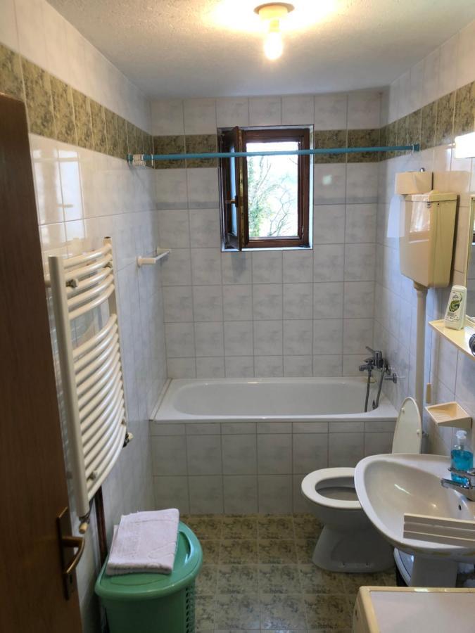 Apartman Djina Vrnjačka Banja 外观 照片