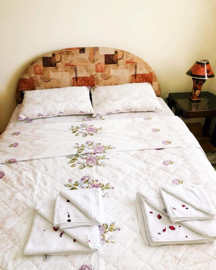 Apartman Djina Vrnjačka Banja 外观 照片