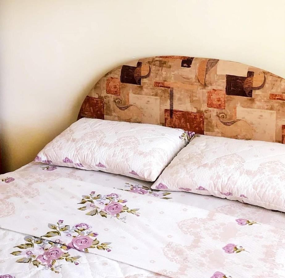 Apartman Djina Vrnjačka Banja 外观 照片
